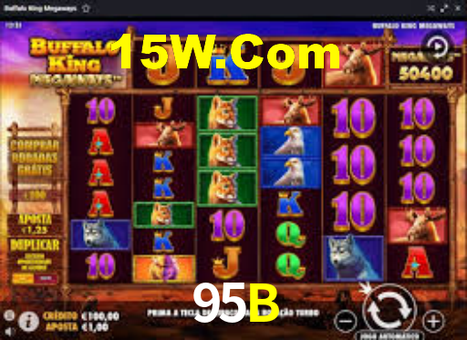 95B,95B CaSSino
